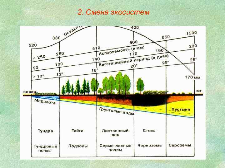 2. Смена экосистем 