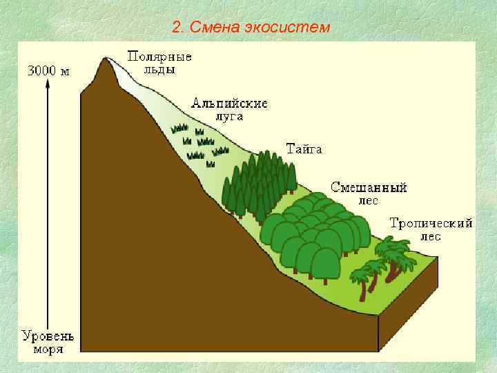 2. Смена экосистем 