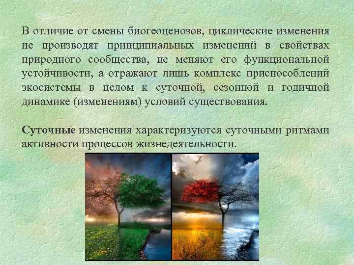 В отличие от смены биогеоценозов, циклические изменения не производят принципиальных изменений в свойствах природного