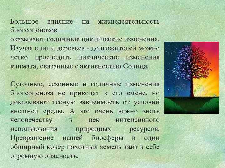 Большое влияние на жизнедеятельность биогеоценозов оказывают годичные циклические изменения. Изучая спилы деревьев - долгожителей