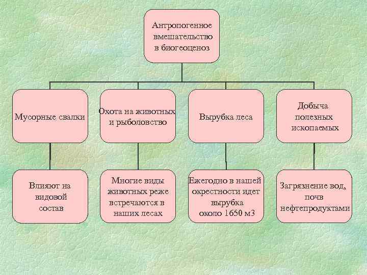 Антропогенное вмешательство в биогеоценоз Мусорные свалки Охота на животных и рыболовство Вырубка леса Добыча