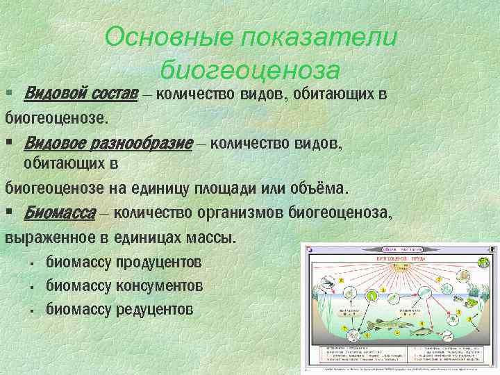 Сколько видов в природе