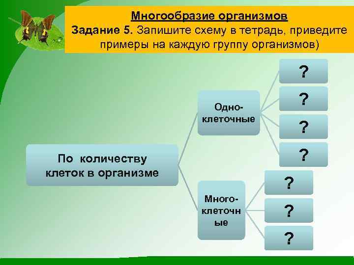 Многообразие организмов Задание 5. Запишите схему в тетрадь, приведите примеры на каждую группу организмов)