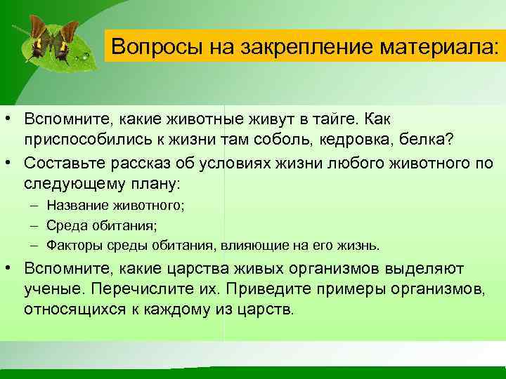 Вопросы на закрепление материала: • Вспомните, какие животные живут в тайге. Как приспособились к