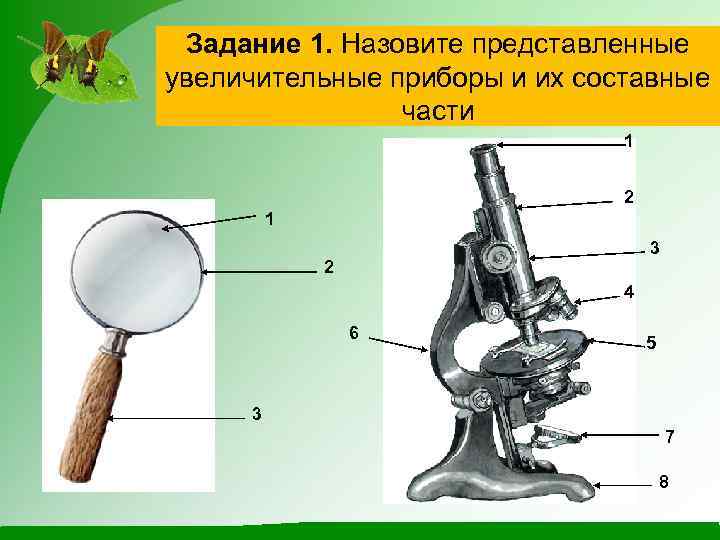 Задание 1. Назовите представленные увеличительные приборы и их составные части 1 2 1 3