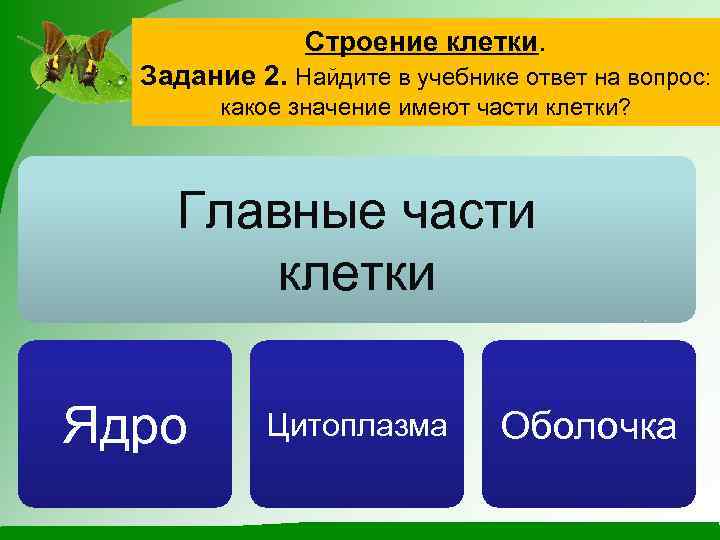 Строение клетки. Задание 2. Найдите в учебнике ответ на вопрос: какое значение имеют части