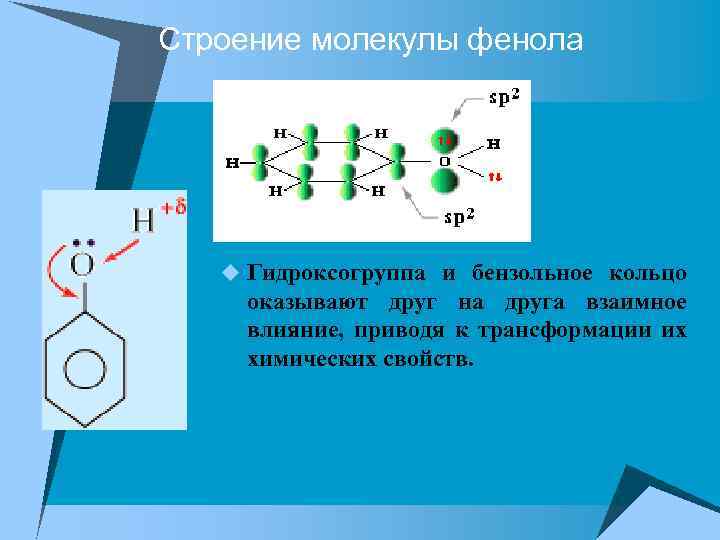 Строение молекулы фенола u Гидроксогруппа и бензольное кольцо оказывают друг на друга взаимное влияние,