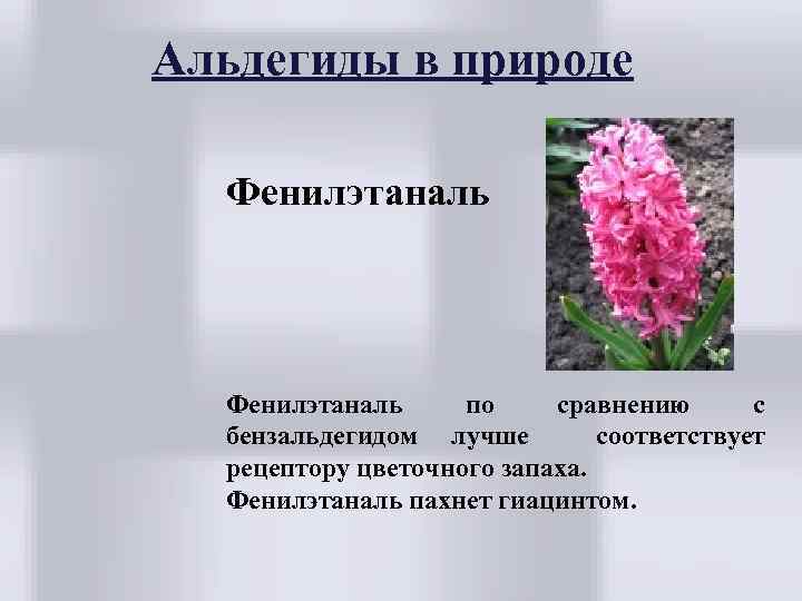 Альдегиды в природе Фенилэтаналь по сравнению с бензальдегидом лучше соответствует рецептору цветочного запаха. Фенилэтаналь