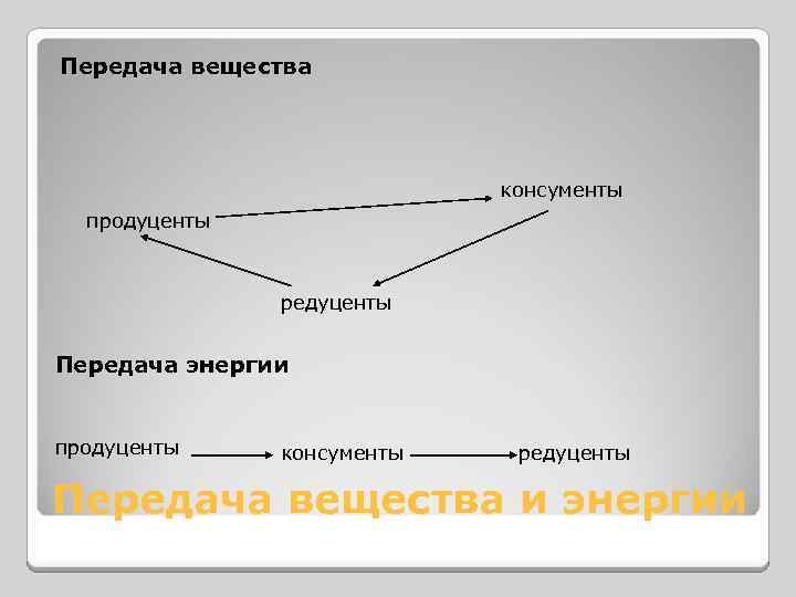 Передача вещества консументы продуценты редуценты Передача энергии продуценты консументы редуценты Передача вещества и энергии