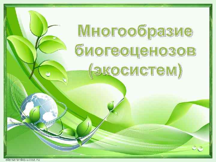 Многообразие биогеоценозов (экосистем) 