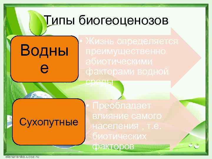 Типы биогеоценозов Водны е • Жизнь определяется преимущественно абиотическими факторами водной среды • Преобладает