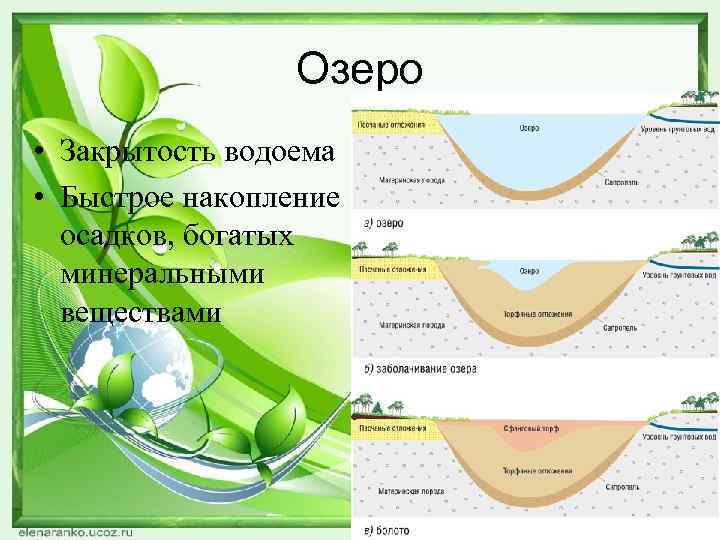 Озеро • Закрытость водоема • Быстрое накопление осадков, богатых минеральными веществами 