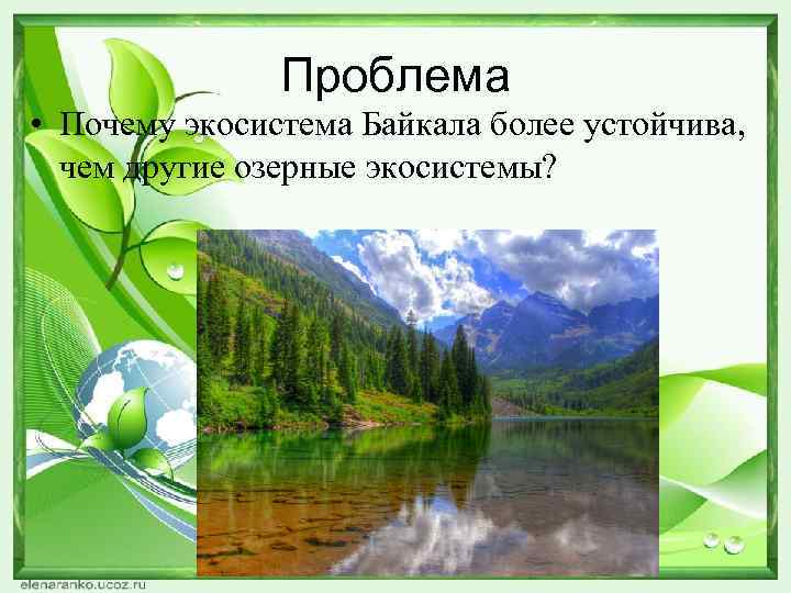 Проблема • Почему экосистема Байкала более устойчива, чем другие озерные экосистемы? 