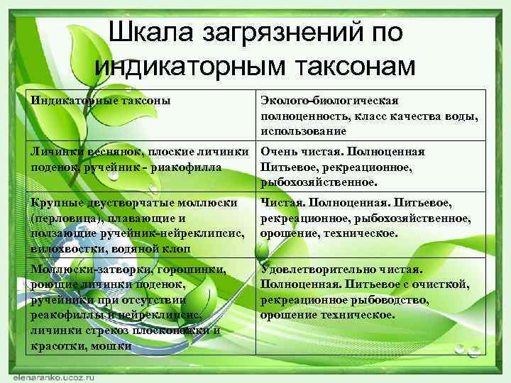 Шкала загрязнений по индикаторным таксонам Индикаторные таксоны Эколого-биологическая полноценность, класс качества воды, использование Личинки