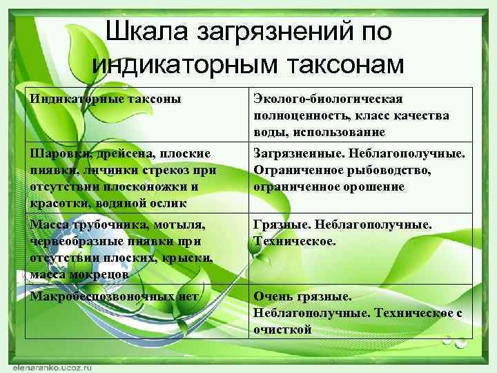 Шкала загрязнений по индикаторным таксонам Индикаторные таксоны Эколого-биологическая полноценность, класс качества воды, использование Шаровки,