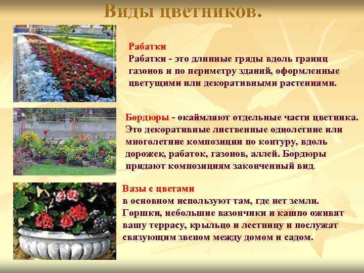 Виды цветников. Рабатки - это длинные гряды вдоль границ газонов и по периметру зданий,