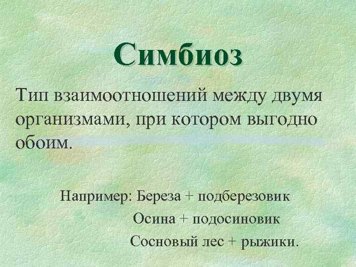 Симбиоз Тип взаимоотношений между двумя организмами, при котором выгодно обоим. Например: Береза + подберезовик