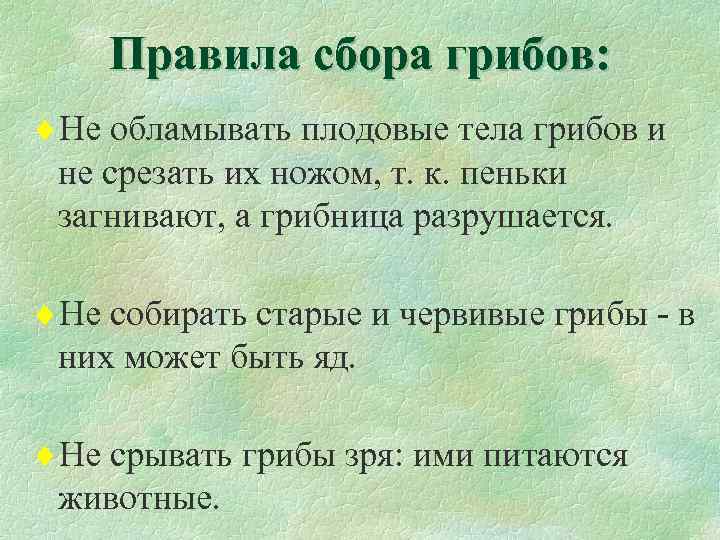 Правила сбора грибов: ¨Не обламывать плодовые тела грибов и не срезать их ножом, т.