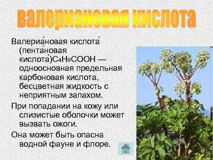 Валериа новая кислота (пента новая кислота )С 4 Н 9 COOH — одноосновная предельная