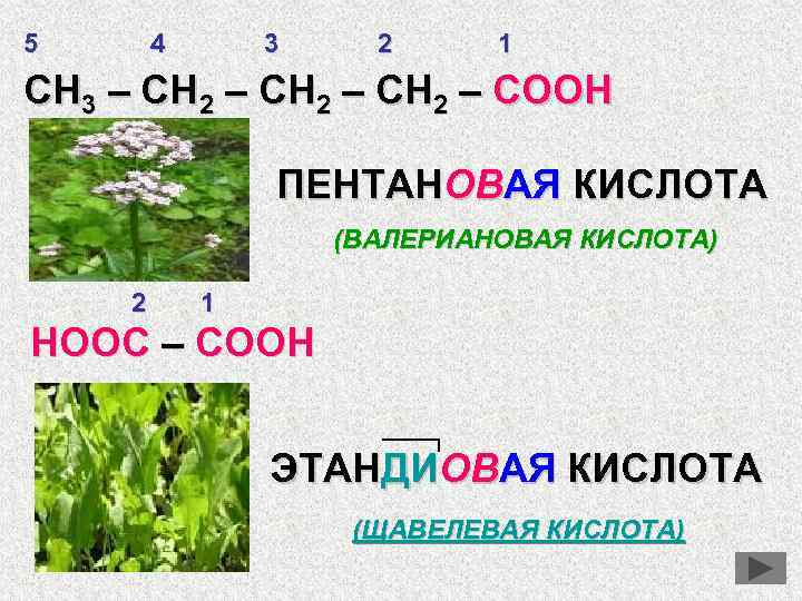 Презентация кислородсодержащие органические соединения 9 класс габриелян