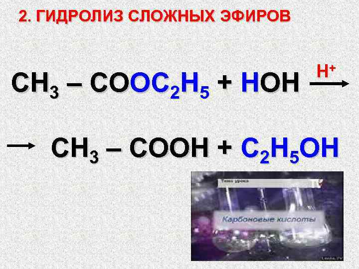 2. ГИДРОЛИЗ СЛОЖНЫХ ЭФИРОВ СН 3 – СООС 2 Н 5 + НОН Н+