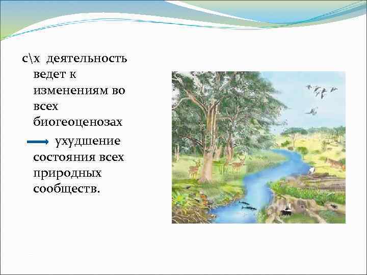 сх деятельность ведет к изменениям во всех биогеоценозах ухудшение состояния всех природных сообществ. 