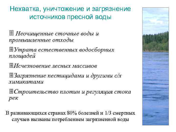 Нехватка, уничтожение и загрязнение источников пресной воды 3 Неочищенные сточные воды и промышленные отходы