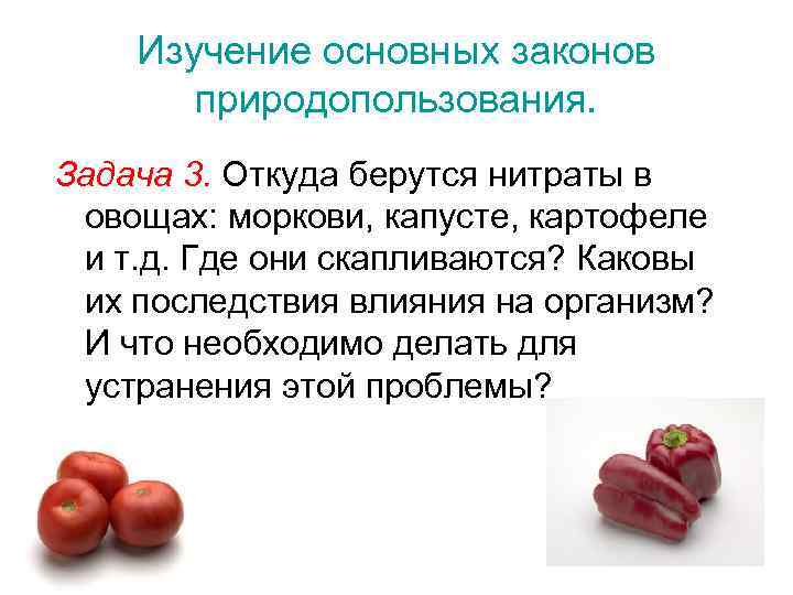 Изучение основных законов природопользования. Задача 3. Откуда берутся нитраты в овощах: моркови, капусте, картофеле