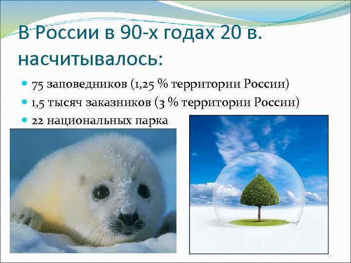 В России в 90 -х годах 20 в. насчитывалось: 75 заповедников (1, 25 %