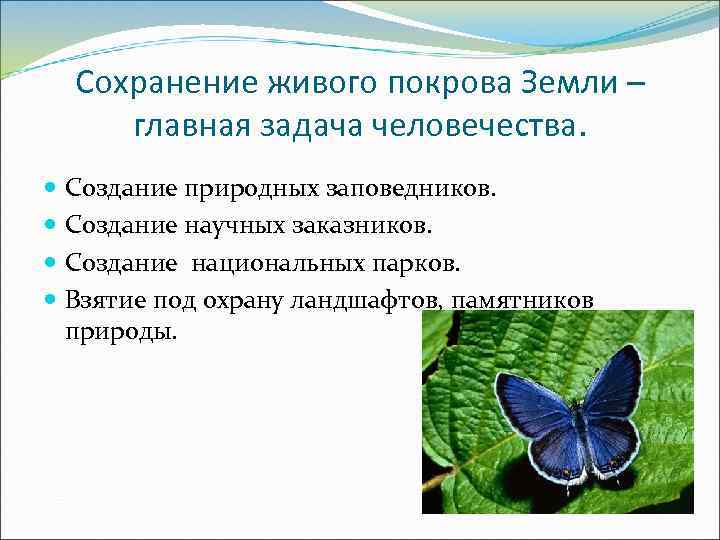 Сохранение живого покрова Земли – главная задача человечества. Создание природных заповедников. Создание научных заказников.