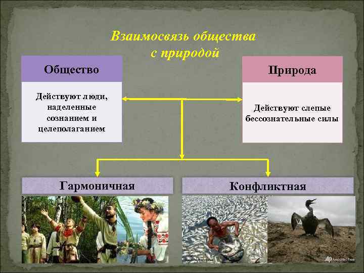 Взаимосвязь общества с природой Общество Природа Действуют люди, наделенные сознанием и целеполаганием Действуют слепые