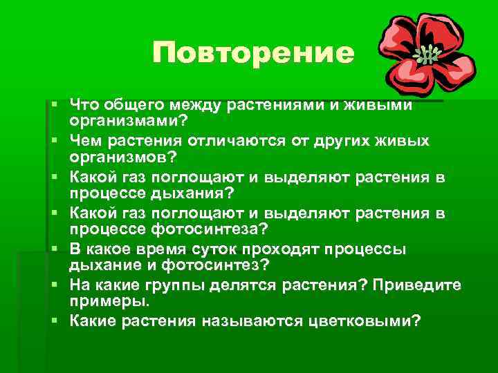 Повторение Что общего между растениями и живыми организмами? Чем растения отличаются от других живых
