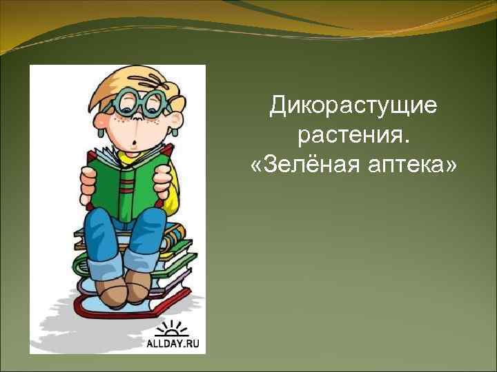 Дикорастущие растения. «Зелёная аптека» 