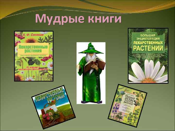 Мудрые книги 
