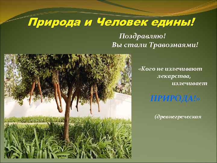 Природа и Человек едины! Поздравляю! Вы стали Травознаями! «Кого не излечивают лекарства, излечивает ПРИРОДА!»