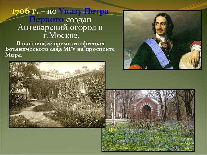 1706 г. – по Указу Петра Первого создан Аптекарский огород в г. Москве. В