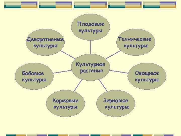 Плодовые культуры Технические культуры Декоративные культуры Бобовые культуры Культурное растение Кормовые культуры Зерновые культуры