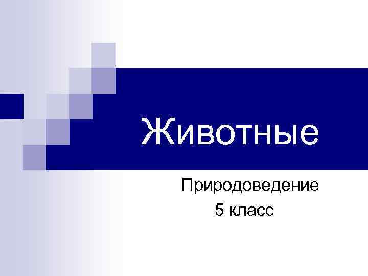 Животные Природоведение 5 класс 