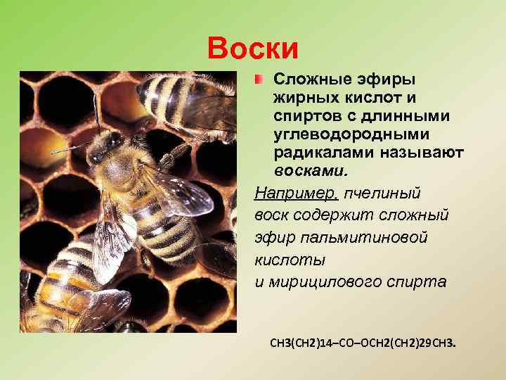 Воски Сложные эфиры жирных кислот и спиртов с длинными углеводородными радикалами называют восками. Например,