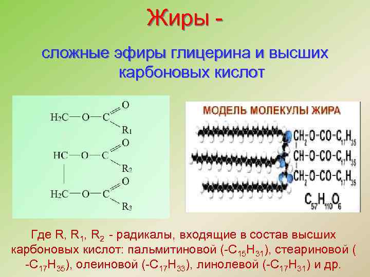 Жиры сложные эфиры глицерина и высших карбоновых кислот Где R, R 1, R 2