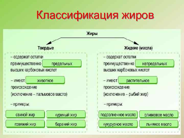 Классификация жиров 