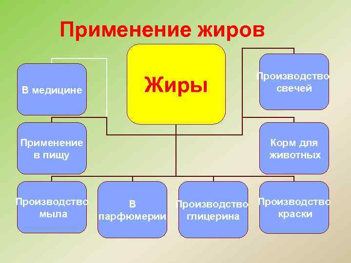 Схема применения жиров