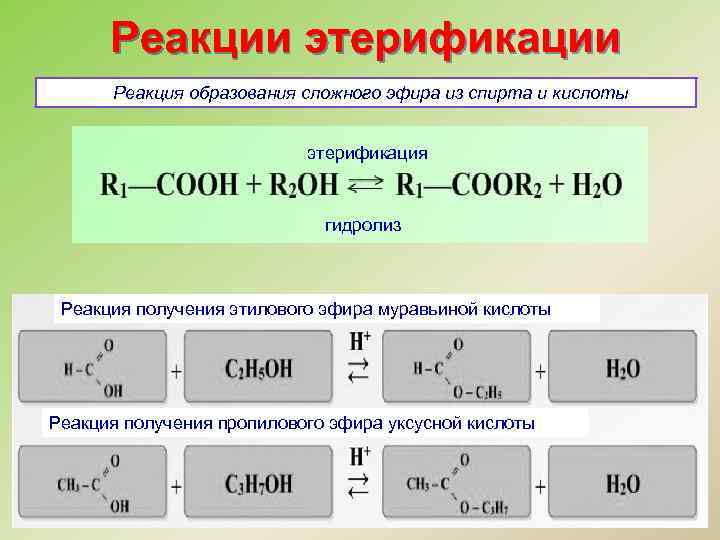 Реакции этерификации Реакция образования сложного эфира из спирта и кислоты этерификация гидролиз Реакция получения