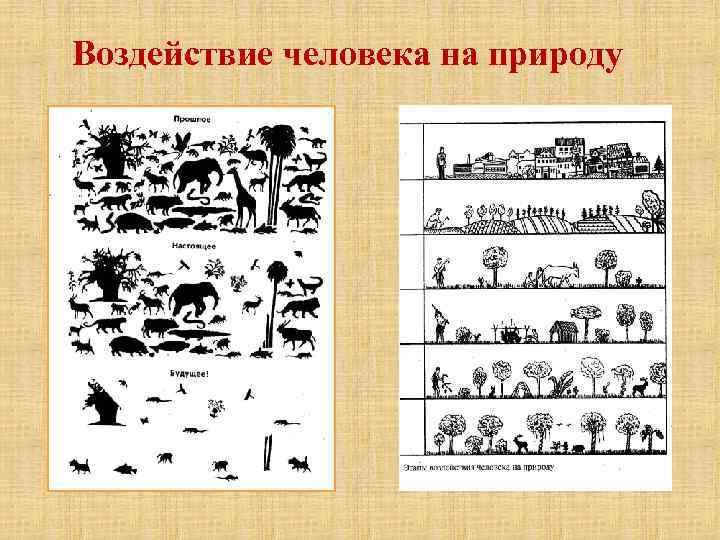 Воздействие человека на природу 