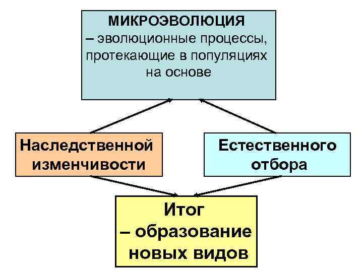МИКРОЭВОЛЮЦИЯ – эволюционные процессы, протекающие в популяциях на основе Наследственной изменчивости Естественного отбора Итог