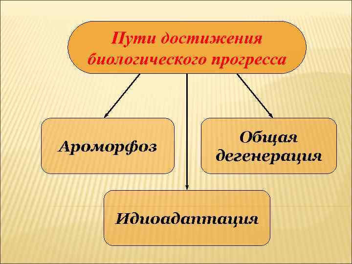Пути достижения биологического прогресса Ароморфоз Общая дегенерация Идиоадаптация 