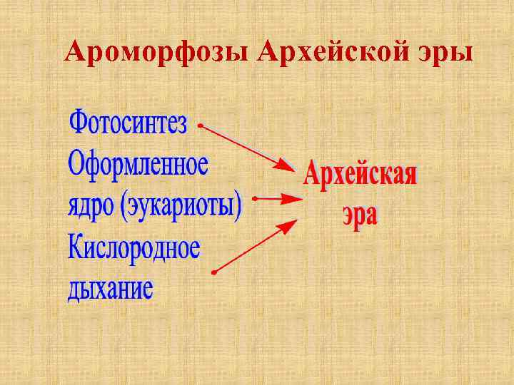 Ароморфозы Архейской эры 