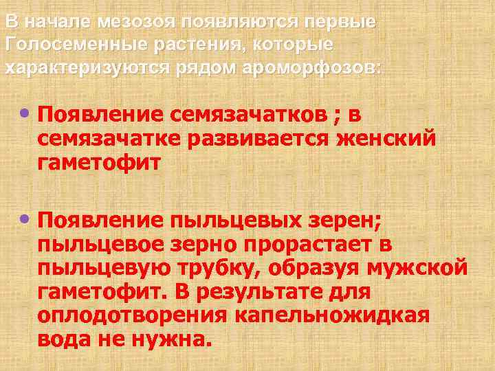 В начале мезозоя появляются первые Голосеменные растения, которые характеризуются рядом ароморфозов: • Появление семязачатков