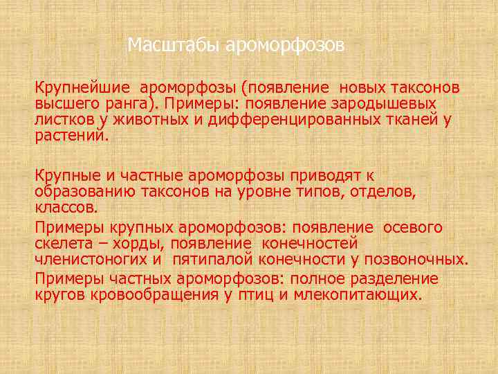 Масштабы ароморфозов Крупнейшие ароморфозы (появление новых таксонов высшего ранга). Примеры: появление зародышевых листков у