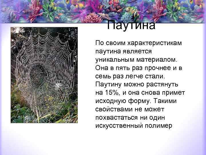 Паутина По своим характеристикам паутина является уникальным материалом. Она в пять раз прочнее и